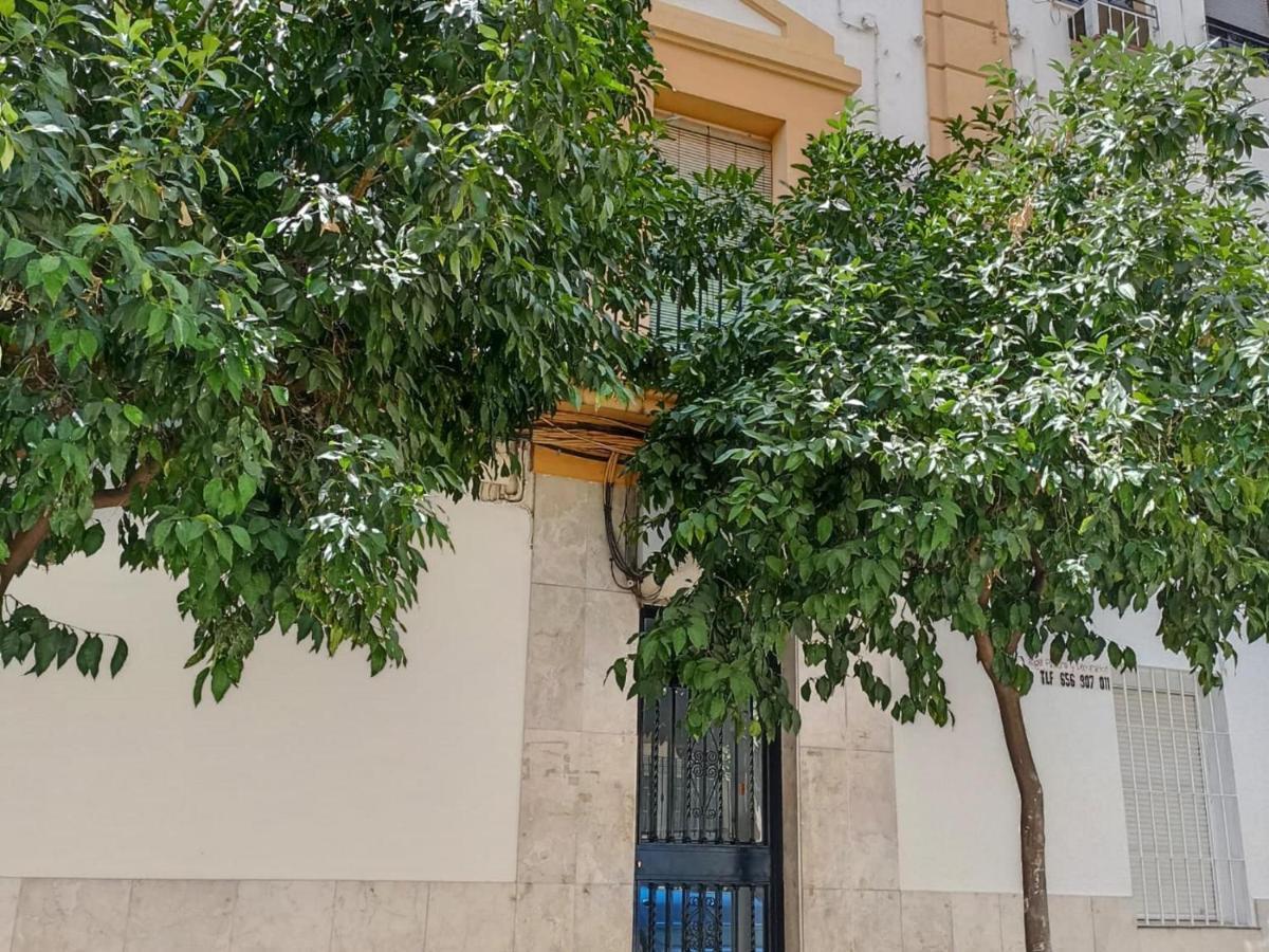 Modernos Apartamentos En Ciudad Jardin Cordova Esterno foto
